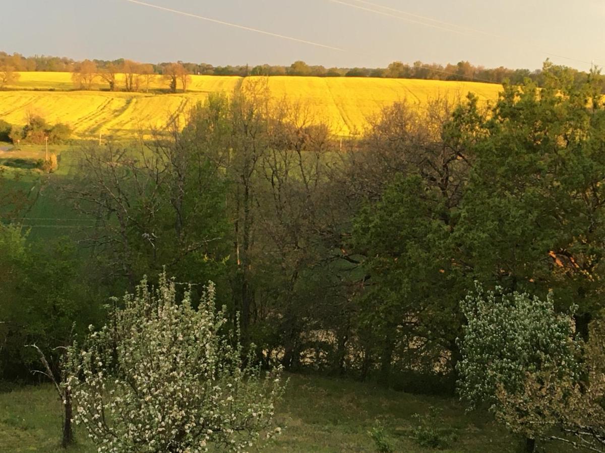 Maison Dougnac Fleurance Εξωτερικό φωτογραφία